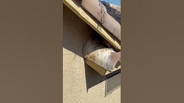 Alcoves Bird Netting Before the Job