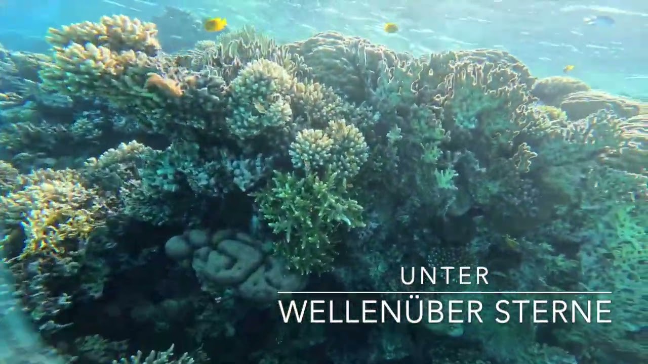 Unter Wellen, über Sterne