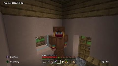 Minecraft The Traveling Trader Episode 1