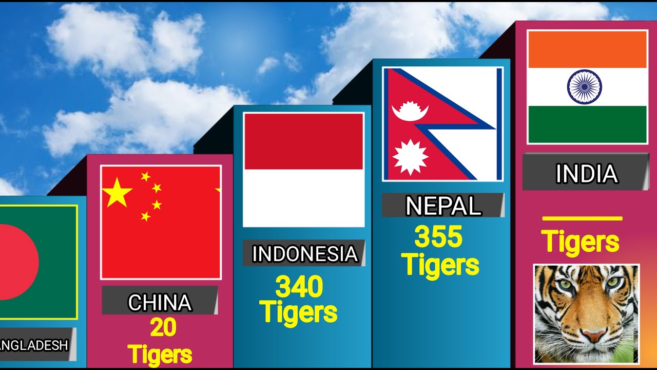 Tiger Population by Country 2024