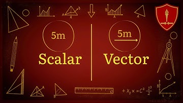 Scalars vs Vectors: Direction Changes Everything
