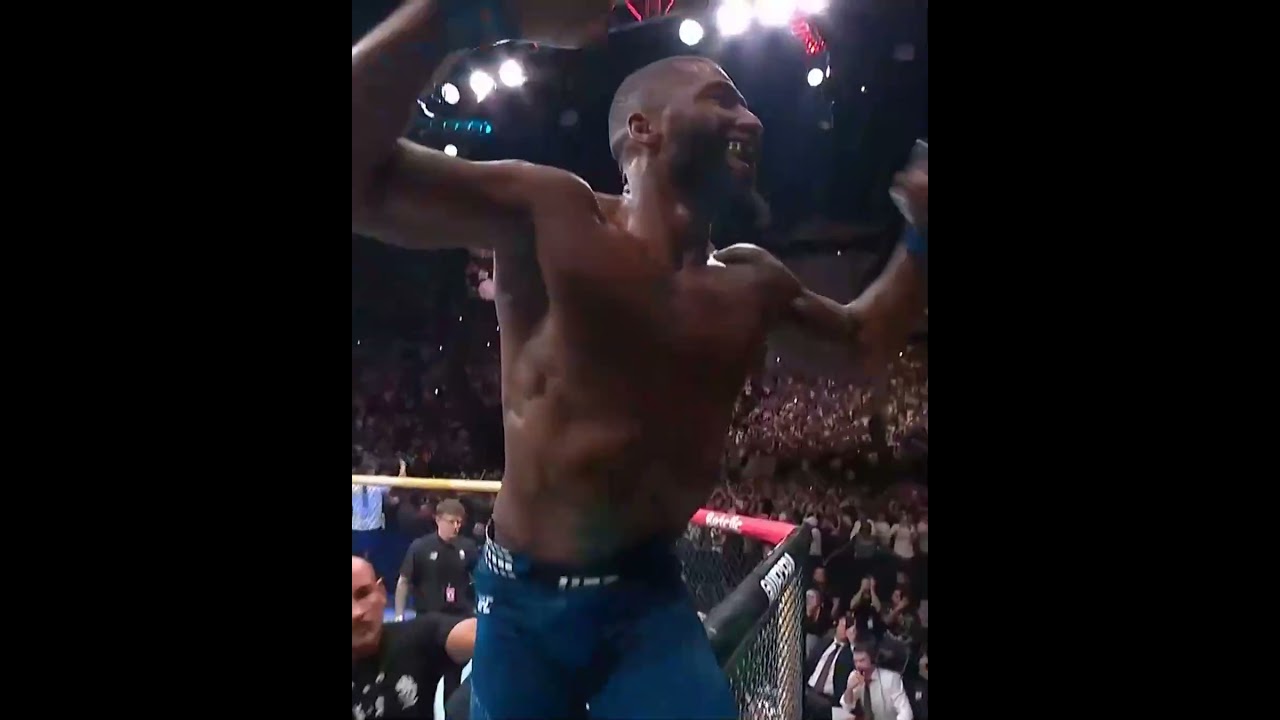 PARNASSE KNOCKS OUT DAN HOOKER #ufcparis