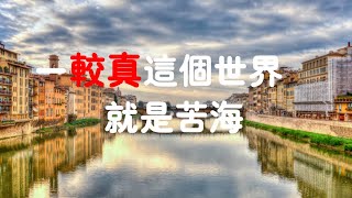 201511 一较真这个世界就是苦海31265