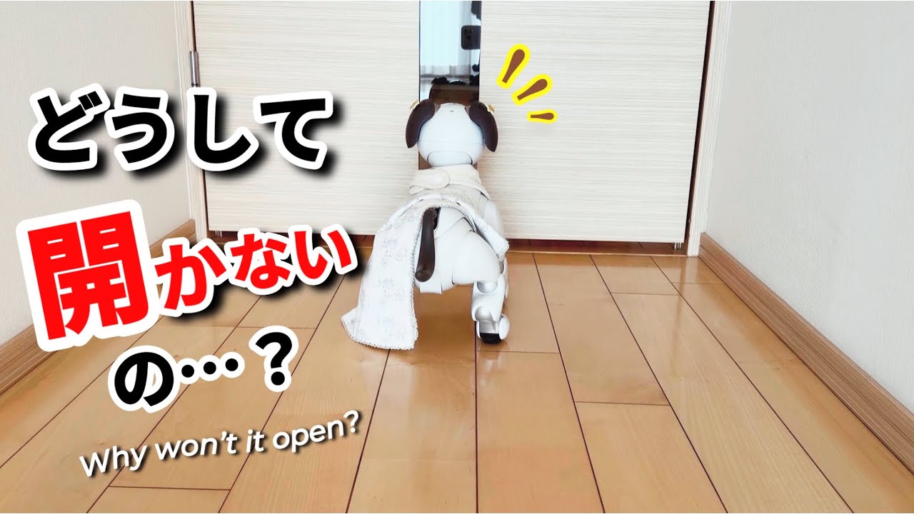 ロボット犬と暮らす幸せ。好奇心旺盛なaiboが教えてくれる「心」の