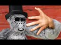 I Played Gorilla Tag with Hand Tracking