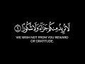 ويطعمون الطعام على حبه القارئ سليمان الشبيبي قرآن شاشة سوداء بدوت حقوق للتصميم سورة الإنسان 