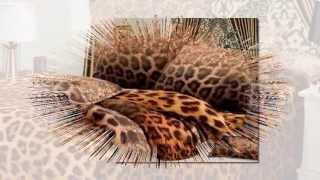 Cheetah Print Bedding Show, 2013 New Style. All for Colorful Life!