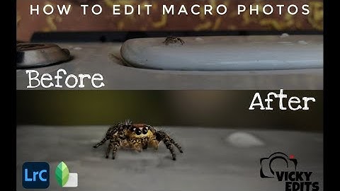 How To Edit Macro Photos In Lightroom And Snapseed