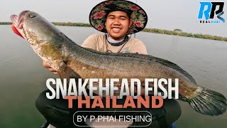 ตกปลาช่อนบนเรือคายัค Snakehead Fish in Thailand