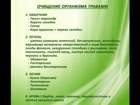 Очищение организма травами. Экспресс-курс по переходу на сыроедение. Часть 2.
