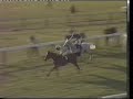 1988 jim ford chase  desert orchid