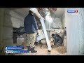 ГТРК СЛАВИЯ Авария на водопроводе в Чечулино 10.01.24