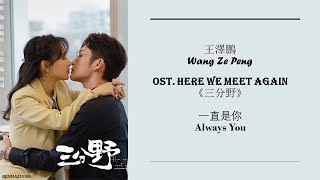 Always You 一直是你 by Wang Ze Peng 王澤鵬  HERE WE MEET AGAIN OST 《三分野》[CHN|PINYIN|ENG Lyrics]