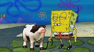 COW MMMM