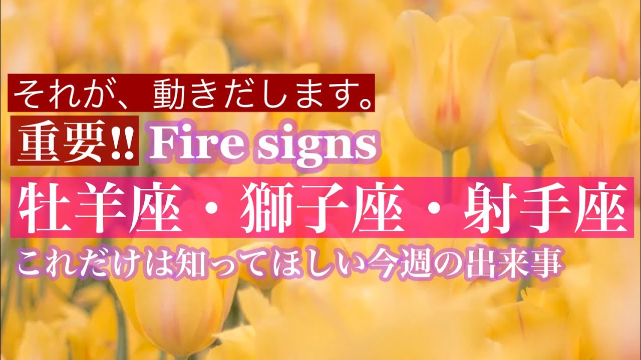 関守石の独り言 淡交春秋 関守石の独り言 淡交春秋