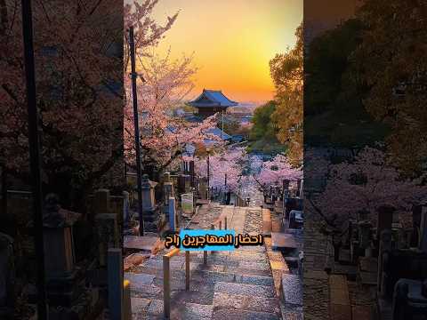 مظاهرات باليابان بسبب الهند