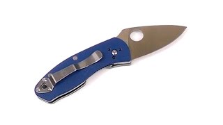 Spyderco Ambitious Knife Review: Little Big Knife Spyderco Ambitious Knife Review: Little Big Knife