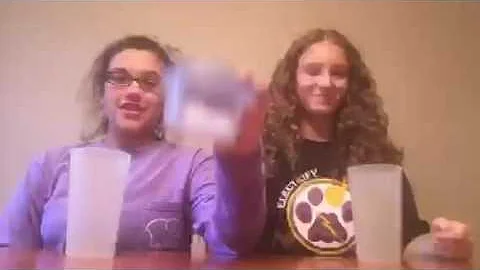 Smoothie Challenge ft. Emma Rask