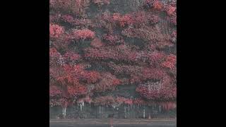 Sleep Token - Caramel (instrumental)
