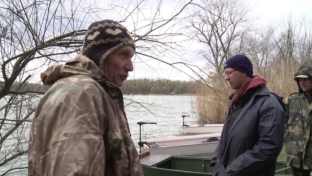 Koós harcsatábor 2015