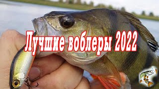 Лучшие воблеры сезона 2022, цвет, проводки, удилища