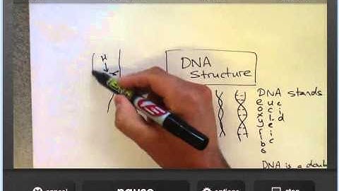 Introduction to the iMotion HD app (iOS)