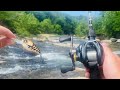 BFS Creek Fishing Adventure! (New PB!!)