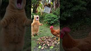 when cat swept backyard 🤣🤣