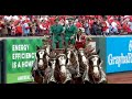 Budweiser Clydesdales circle field on 2024 Opening Day at Busch Stadium