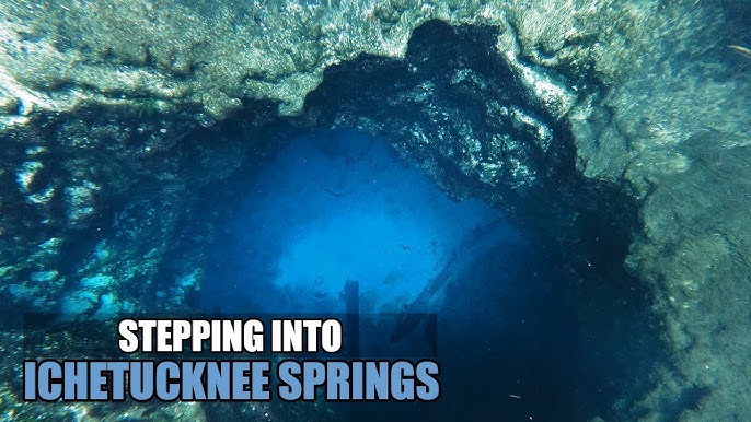 Springs of Ichetucknee