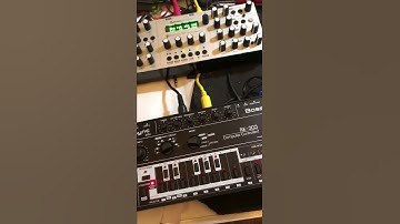RE-303 and Shruthi XT - MikeSynth