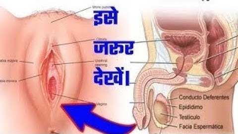 !!Most brilliant GK !! questions with answers -- interesting GK !! Top 5 GK!! sexy video information