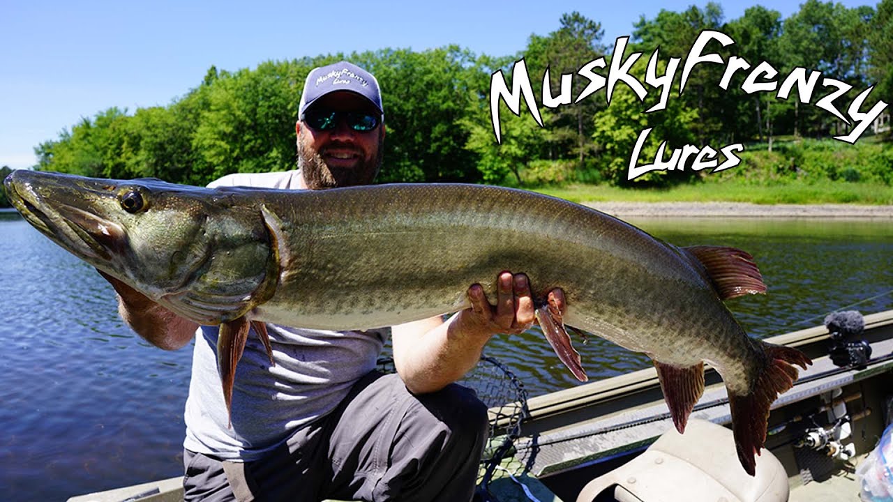 Minnesota River Musky Fishing With Musky Frenzy Lures 
