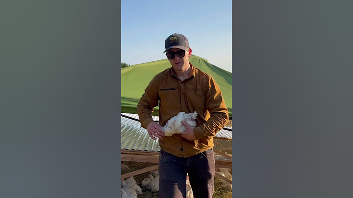 How to humanely euthanized a chicken (no tools)