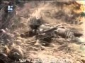 خـبـطـة قـدمـكـم عـالأرض هـدارة خـبـطـة قـدمـكـم عـالأرض هـدارة
