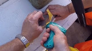 Haaitjes merken met de nieuwe Floy-tags