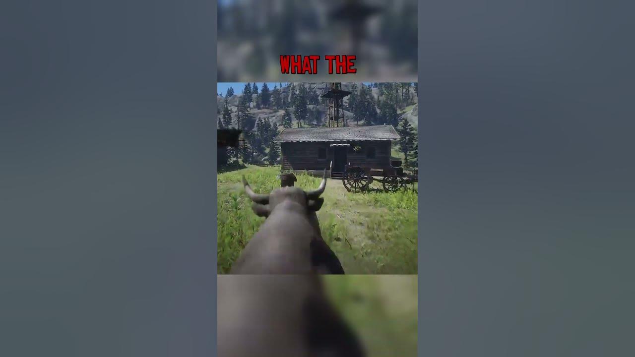 The Bull doesn't like John... RedDeadRedemption2 RDR2 JohnMarston
