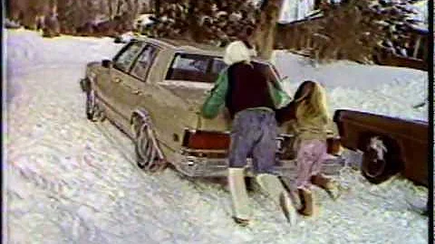 DONNA WYATT & GREAT COLORADO BLIZZARD  (1982)  Hom...
