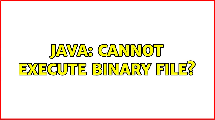Java: cannot execute binary file?