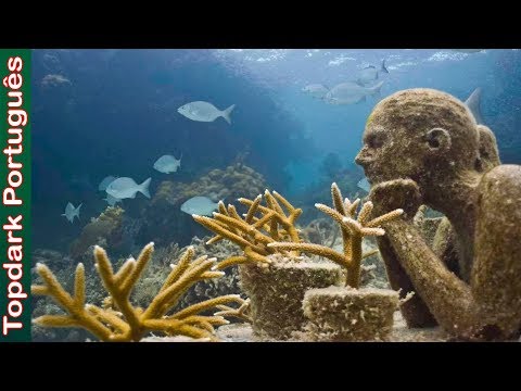 Vídeo: Recife De Coral Na Itália Descoberto