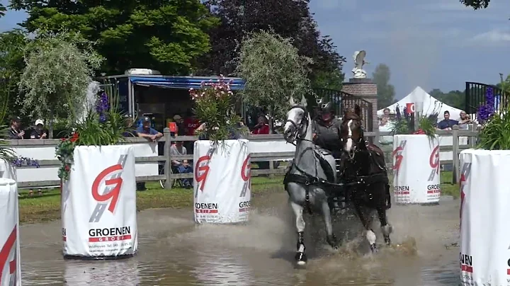 ZAAYER Annegreet, NED, DVI Valkenswaard H2 HORSE PAIR; Marathon, obstacle 7,  11 06 2022