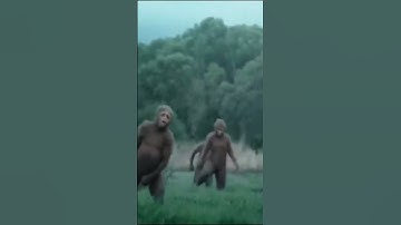 أصحاب السبت في سورة الأعراف يوم الجمعه في يوم من الأيام قصة حقيقية