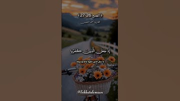 إِذْ جَعَلَ الَّذِينَ كَفَرُوا فِي قُلُوبِهِمُ الْحَمِيَّةَ | أحمد النفيس #تلاوة_خاشعة#قرآن # #quran