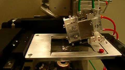 Drosophila Embryo Injection