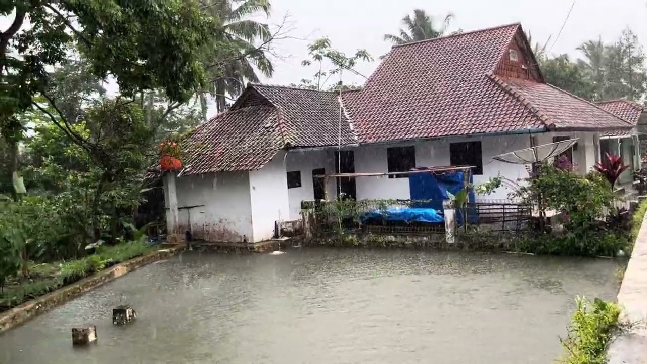 (NO ADS) 🌧️walking rain and thunderstorm in asian village || thunder rain sounds for sleeping 💤