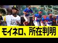 ソフバンモイネロ、所在判明！！