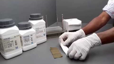 Color Fastness to Perspiration Test (Acid, Alkali), ISO 105 E04