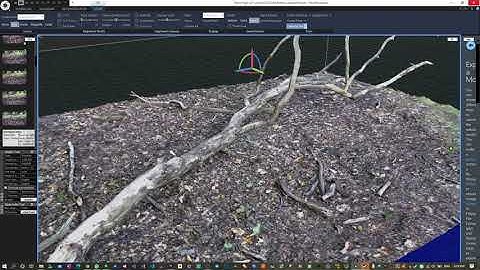 1st Photogrammetry test in Reality Capture - Richmond park (UK)