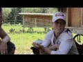 Salmon Safe Certification at Rootdown Organics Salmon Safe Certification at Rootdown Organics