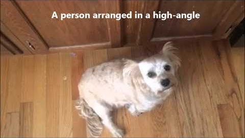 4-1 Module Four Assignment: Visual Elements and Image Composition in Time-Based Media